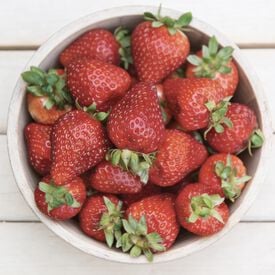 Seascape, Strawberry Plants